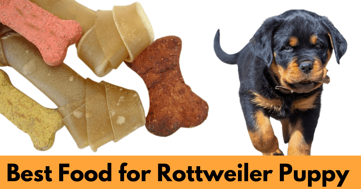 A Rottweiler Puppy and Dog Food