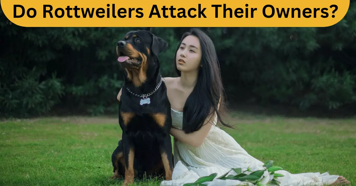 A Girl sitting near a Rottweiler dog