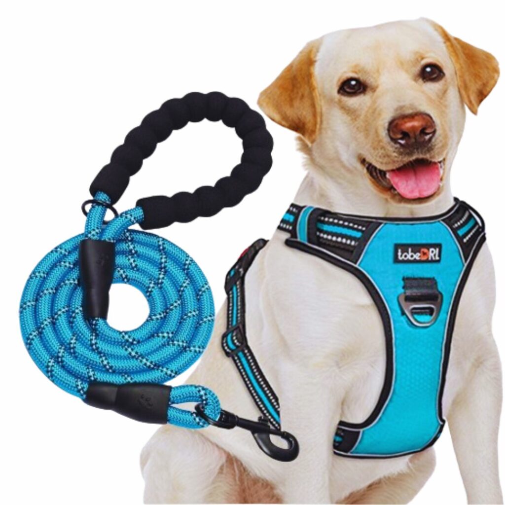 Medium & Large Dog Harness with 5ft Dog Leash